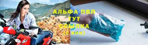 гидра Верея