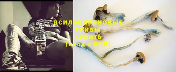 PSILOCYBIN Магадан