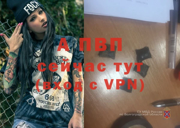кокс Майский