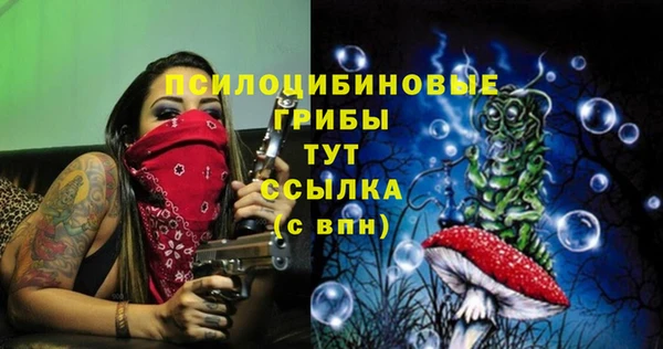 кокс Майский