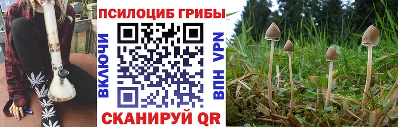 Псилоцибиновые грибы Magic Shrooms Махачкала
