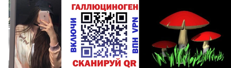 купить наркотики цена  Махачкала  Псилоцибиновые грибы MAGIC MUSHROOMS 