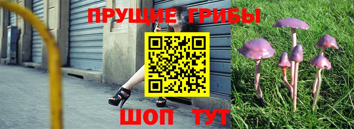 Махачкала  Псилоцибиновые грибы прущие грибы  Вход с VPN 