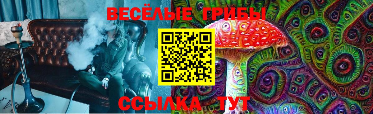 Псилоцибиновые грибы Psilocybine cubensis Махачкала