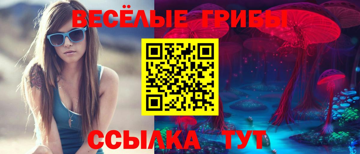 Псилоцибиновые грибы MAGIC MUSHROOMS Махачкала